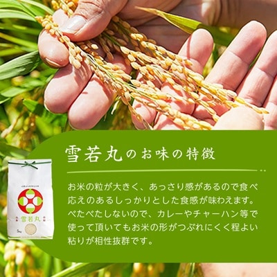 令和7年産　山形県産　雪若丸　無洗米　10kg(5kg×2袋)