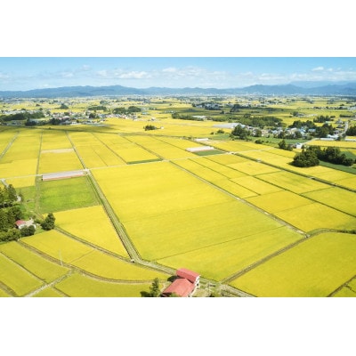 令和7年産　山形県産　つや姫　無洗米　4kg