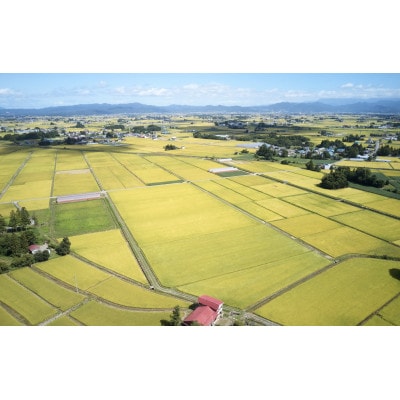 令和7年産　山形県産　つや姫　無洗米　10kg(5kg×2)