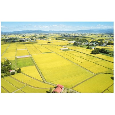 先行予約 令和8年産　山形県産 つや姫　無洗米4kg(2kg×2袋)