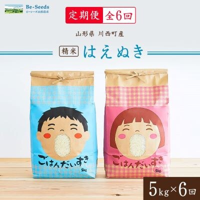 【毎月定期便】山形県産米「はえぬき」5kg(5kg×1袋)全6回