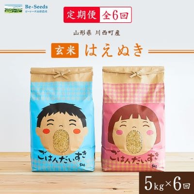 【毎月定期便】山形県産米「はえぬき」玄米 5kg(5kg×1袋)全6回