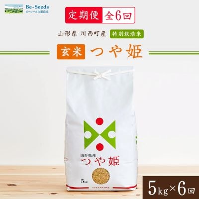 【毎月定期便】山形県産特別栽培米「つや姫」玄米 5kg(5kg×1袋)全6回