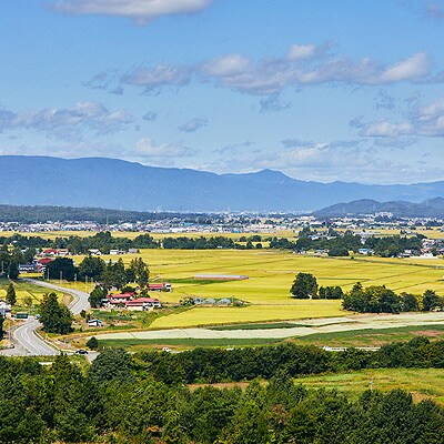 【毎月定期便】山形県産特別栽培米「つや姫」玄米 5kg(5kg×1袋)全6回