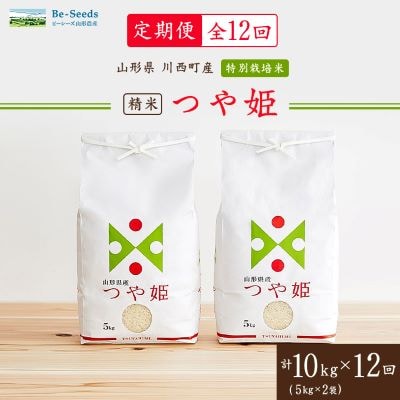 【毎月定期便】山形県産特別栽培米「つや姫」10kg(5kg×2袋)全12回