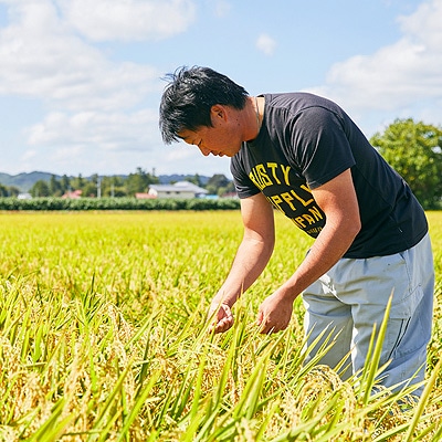 【毎月定期便】山形県産特別栽培米「つや姫」10kg(5kg×2袋)全12回
