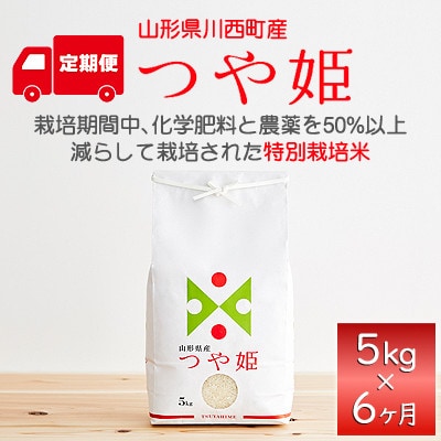 【毎月定期便】山形県産　つや姫　精米　5kg全6回