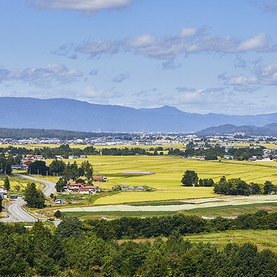 【毎月定期便】山形県産　つや姫　精米　5kg全6回