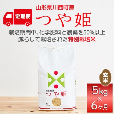【毎月定期便】山形県産　つや姫　玄米　5kg全6回