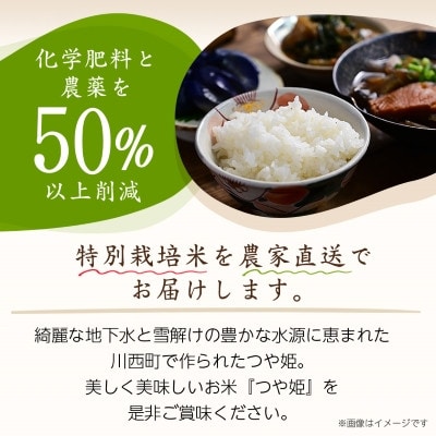 【毎月定期便】山形県産特別栽培米「つや姫」10kg(5kg×2袋)全3回