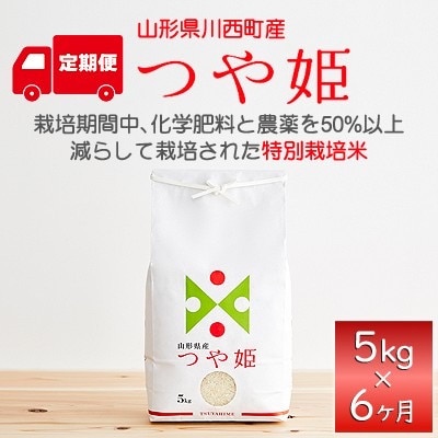【発送月固定定期便】つや姫　精米　5kg全6回