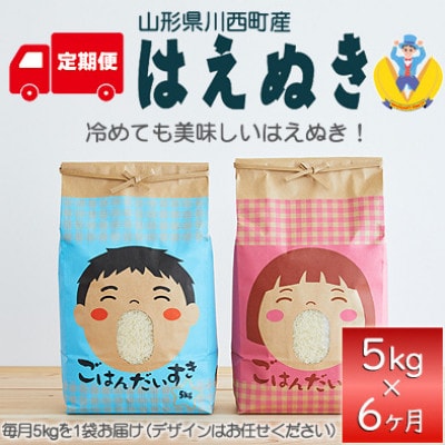 【発送月固定定期便】はえぬき　精米　5kg　全6回