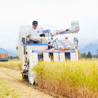 2023年6月発送開始『定期便』山形県産 はえぬき 玄米 5kg(5kg×1袋)全6回