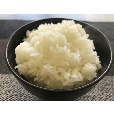 置賜農業高校　精米食べ比べセット