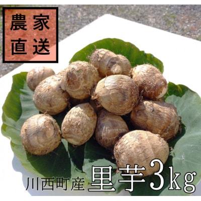 【2024年10月下旬発送開始】農家直送　土付き里芋(大和早生)3kg
