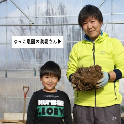 「2024年10月下旬発送開始」農家直送土付き里芋(大和早生)5kg