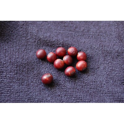 紅大豆200g(手選別品/2022年産)10袋セット【穀物/大豆】