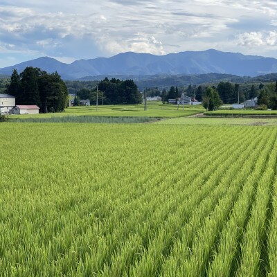 令和4年産新米 山形県川西町産 つや姫&雪若丸 精米 10kg(各5kg)