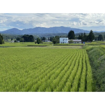 令和4年産　山形県川西町産　特別栽培米　精米　つや姫　10kg(5kg×2袋)