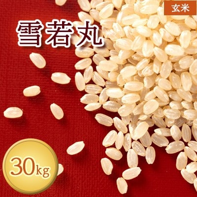 【令和7年産】雪若丸　玄米30kg