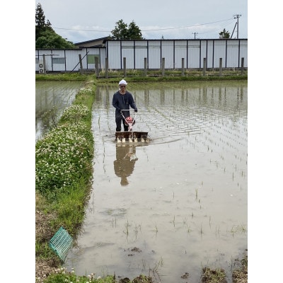 【令和7年産】栽培期間中農薬不使用米 つや姫精米 10kg