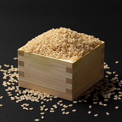 【発送月固定定期便】美味しいつや姫(玄米)が届く!全6回