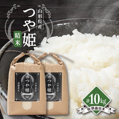 【発送月固定定期便】美味しいつや姫 5kg×2袋が届く!全6回