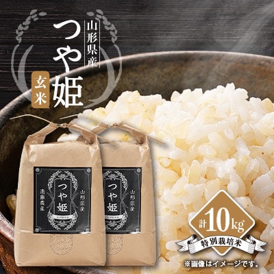 【発送月固定定期便】美味しいつや姫 玄米5kg×2袋が届く!全6回