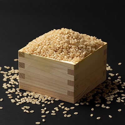 【発送月固定定期便】不揃い自然薯約1kgと美味しいつや姫玄米5kg　お楽しみ固定定期便!全2回