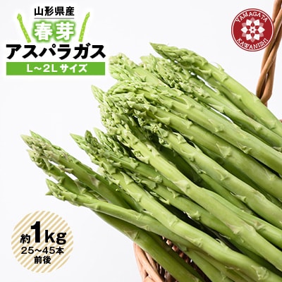 【令和8年産】先行受付!春芽アスパラガス約1kg(L～2Lサイズ 25～45本前後)