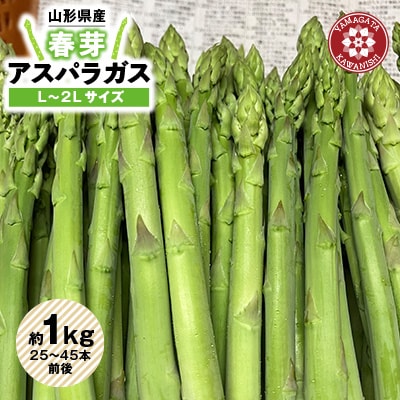 【令和8年産】先行受付!春芽アスパラガス約1kg(L～2Lサイズ 25～45本前後)