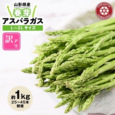 【訳あり】春芽アスパラガス 約1kg(L～2Lサイズ 25～45本前後)