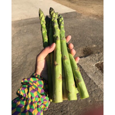 【訳あり】春芽アスパラガス 約1kg(L～2Lサイズ 25～45本前後)