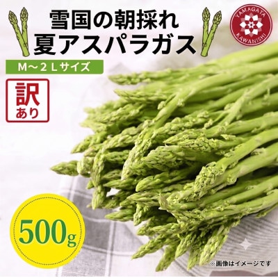 令和8年 山形県川西町産 雪国朝採れアスパラガス(夏) 訳あり(不揃い)M～2L 相当　500g