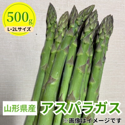 令和8年 山形県川西町産 雪国朝採れアスパラガス(夏)　L～2L サイズ　500g