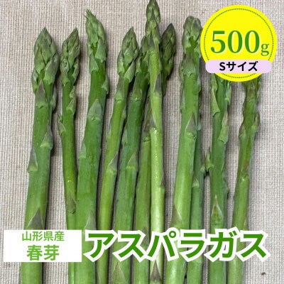 【先行予約】令和9年 山形県川西町産雪国春アスパラガス Sサイズ　500g