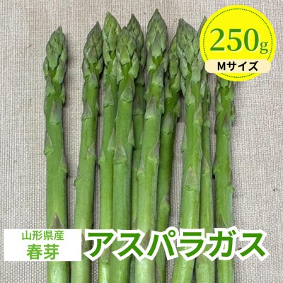 【先行予約】令和9年 山形県川西町産 雪国春アスパラガス　Mサイズ　250g