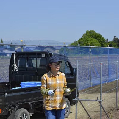 【先行予約】令和9年 山形県川西町産 雪国春アスパラガス (超極太) 3L～4Lサイズ　500g
