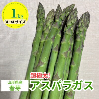 【先行予約】令和9年 山形県川西町産 雪国春アスパラガス (超極太) 3L～4Lサイズ　1kg