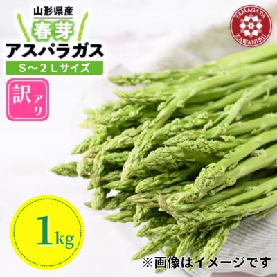【先行予約】令和9年 山形県川西町産 雪国春アスパラガス 訳あり(不揃い) S～2L サイズ　1kg