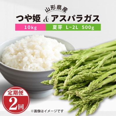 【発送月固定定期便】川西町産つや姫10kgアスパラガス(夏)L～2L 500g全2回