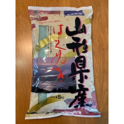 令和6年産 山形県産【はえぬき】精米 20kg(5kg×4袋)