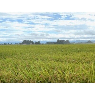 令和6年産 山形県産【はえぬき】玄米 5kg(5kg×1袋)