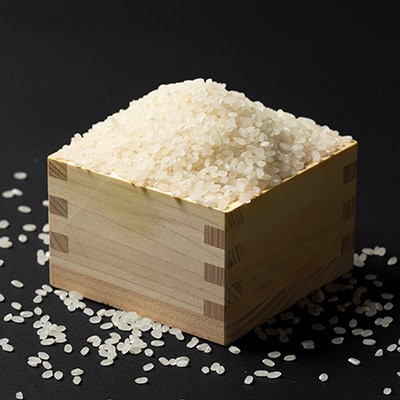 令和5年産　山形県川西町産　雪若丸　精米5kg　特A評価　スーツ農家