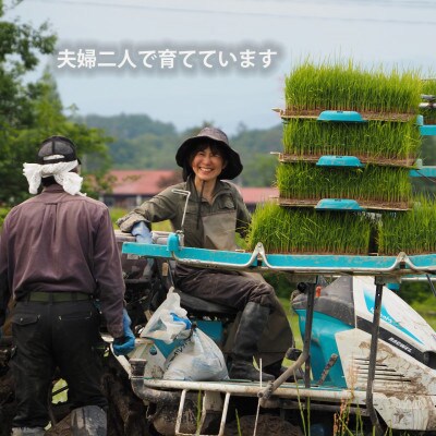 令和6年産 コンクール受賞農家直送 山形県産はえぬき10kg 玄米【浦田農園 むすび米】