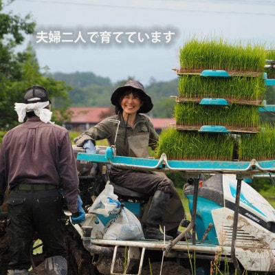 農家直送令和6年11月24日収穫。最上級クラス特A等級ハツシモ玄米