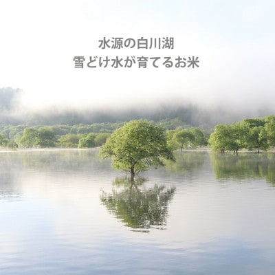 山形県産つや姫2kg 精米 令和7年産 コンクール受賞農家直送 【浦田農園】