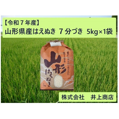 令和7年産山形県産はえぬき　7分づき5kg×1袋