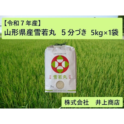 令和7年産山形県産雪若丸　5分づき5kg×1袋