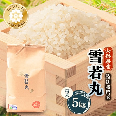 【令和7年産】特別栽培雪若丸　精米 5kg